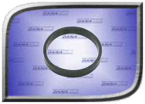 Engine Mount Ring (bearing cap) Product Details